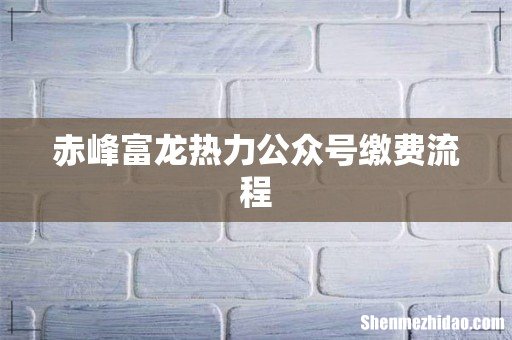 赤峰富龙热力公众号缴费流程