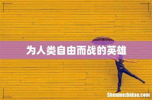 为人类自由而战的英雄