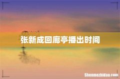 张新成回廊亭播出时间