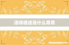 活得通透是什么意思