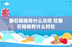 番石榴根有什么功效 吃番石榴根有什么好处
