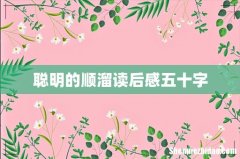 聪明的顺溜读后感五十字