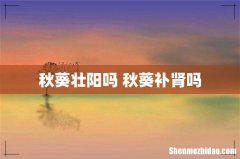 秋葵壮阳吗 秋葵补肾吗