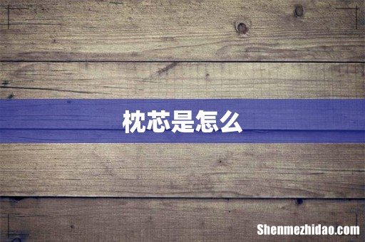 枕芯是怎么
