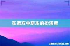 在远方中靳东的扮演者