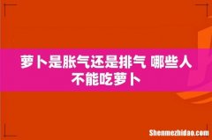 萝卜是胀气还是排气 哪些人不能吃萝卜