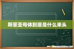 斯菲亚母体到底是什么来头