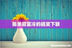 孤单寂寞冷的搞笑下联