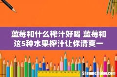 蓝莓和什么榨汁好喝 蓝莓和这5种水果榨汁让你清爽一夏