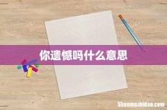 你遗憾吗什么意思