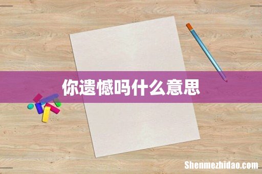 你遗憾吗什么意思