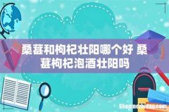 桑葚和枸杞壮阳哪个好 桑葚枸杞泡酒壮阳吗