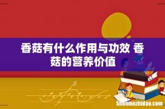 香菇有什么作用与功效 香菇的营养价值