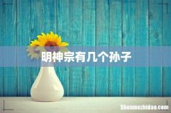 明神宗有几个孙子