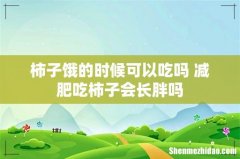 柿子饿的时候可以吃吗 减肥吃柿子会长胖吗