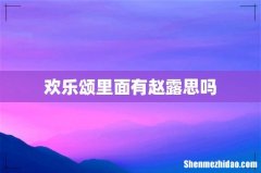 欢乐颂里面有赵露思吗