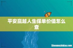 平安赢越人生保单价值怎么查
