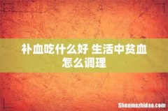 补血吃什么好 生活中贫血怎么调理