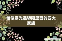 恰似寒光遇骄阳里面的四大家族