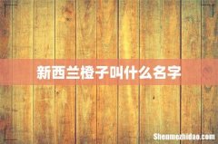 新西兰橙子叫什么名字