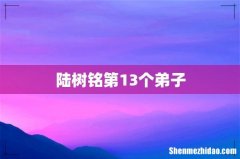 陆树铭第13个弟子