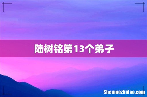 陆树铭第13个弟子