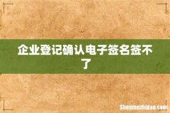 企业登记确认电子签名签不了