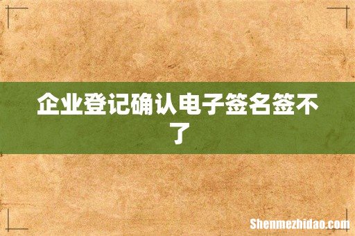 企业登记确认电子签名签不了