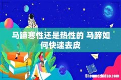 马蹄寒性还是热性的 马蹄如何快速去皮
