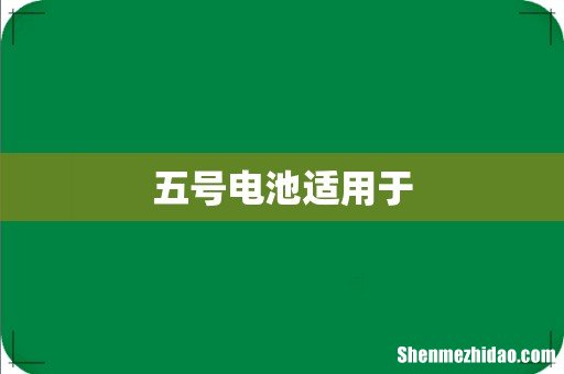 五号电池适用于