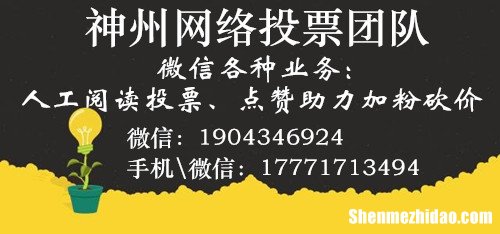 专业人工投票刷票团队价格多少钱一票 人工刷投票一般多少钱呢?人工投票刷票多少钱?