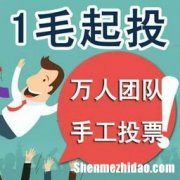 专业人工投票刷票团队价格多少钱一票 人工刷投票一般多少钱呢?人工投票刷票多少钱?