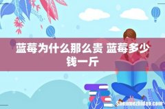 蓝莓为什么那么贵 蓝莓多少钱一斤