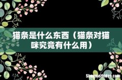 猫条对猫咪究竟有什么用 猫条是什么东西