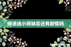 师途选小师妹后还有剧情吗