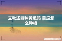 立秋还能种黄瓜吗 黄瓜怎么种植