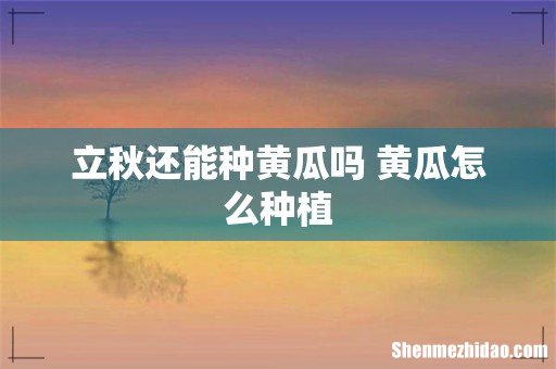 立秋还能种黄瓜吗 黄瓜怎么种植