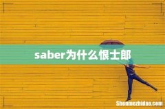 saber为什么恨士郎
