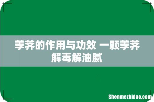 荸荠的作用与功效 一颗荸荠解毒解油腻