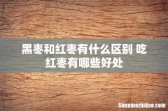 黑枣和红枣有什么区别 吃红枣有哪些好处