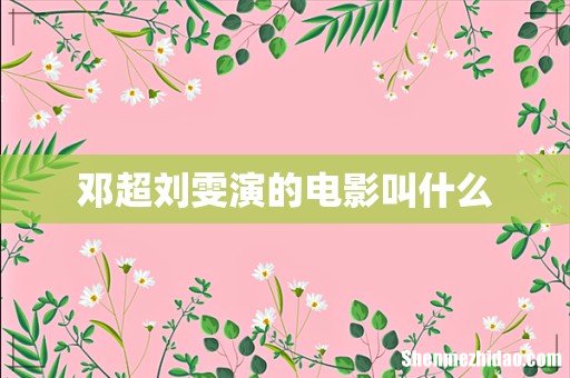 邓超刘雯演的电影叫什么
