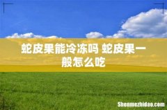 蛇皮果能冷冻吗 蛇皮果一般怎么吃