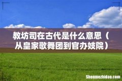 从皇家歌舞团到官办妓院 教坊司在古代是什么意思