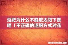 不正确的沤肥方式对花卉有害 沤肥为什么不能放太阳下暴晒