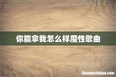 你能拿我怎么样魔性歌曲