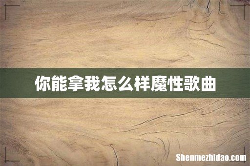 你能拿我怎么样魔性歌曲