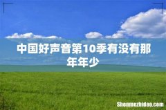 中国好声音第10季有没有那年年少