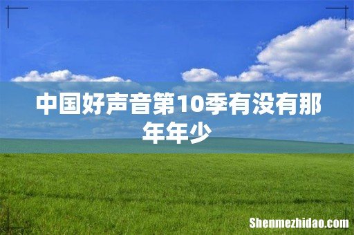 中国好声音第10季有没有那年年少