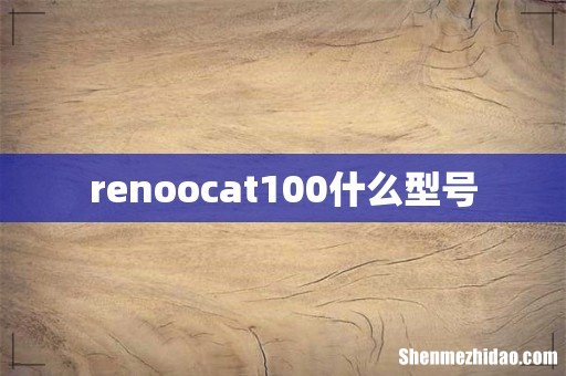renoocat100什么型号