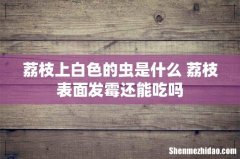 荔枝上白色的虫是什么 荔枝表面发霉还能吃吗